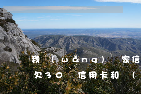 我網(wǎng)貸家信用卡欠了30多萬(欠30萬信用卡和網(wǎng)貸)