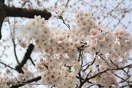 我網(wǎng)貸欠一萬多塊可以做低保戶嗎(低保戶可以申請(qǐng)網(wǎng)貸嗎)