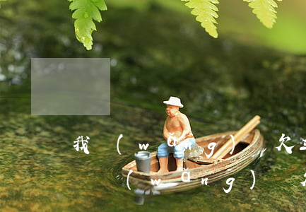 我網(wǎng)貸欠三萬查征信怎么欠四萬(網(wǎng)貸欠3萬多嗎)