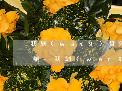 我網(wǎng)貸欠了5萬很想上岸怎么辦-我網(wǎng)貸欠了5萬很想上岸怎么辦呢