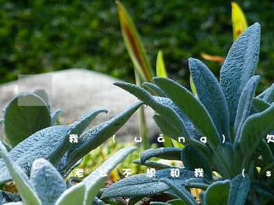 我網(wǎng)貸欠了些錢(qián)老公不想和我說(shuō)話-我網(wǎng)貸欠了些錢(qián)老公不想和我說(shuō)話怎么辦