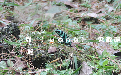 我網(wǎng)貸欠款逾期五年了怎么沒起訴