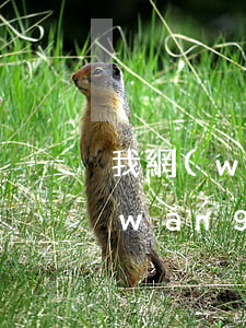 我網(wǎng)貸逾期3年了怎么辦(網(wǎng)貸逾期三年失效嗎)