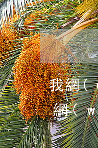 我網(wǎng)貸逾期只還幾張信用卡(我網(wǎng)貸逾期只還幾張信用卡)