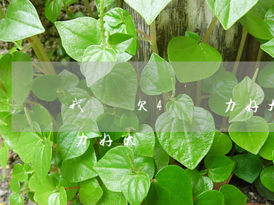 我網貸欠4萬壓力好大(欠45000網貸壓力好大)