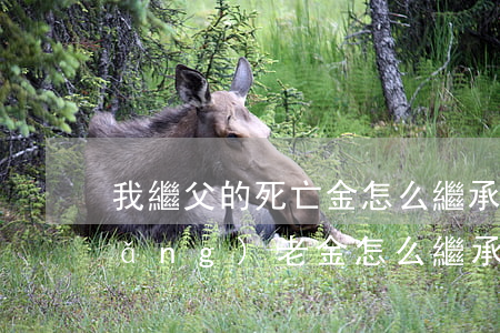 我繼父的死亡金怎么繼承(父親去世后養(yǎng)老金怎么繼承)