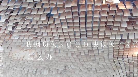 我网贷欠3000块钱(欠了30000网贷怎么办)