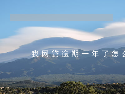 我网贷逾期一年了怎么办