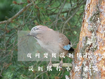 我网贷钱没到银行卡需要还款吗-我网贷钱没到银行卡需要还款吗安全吗