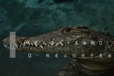 我老公信用卡有逾期會(huì)影響孩子嗎-我老公信用卡有逾期會(huì)影響孩子嗎知乎