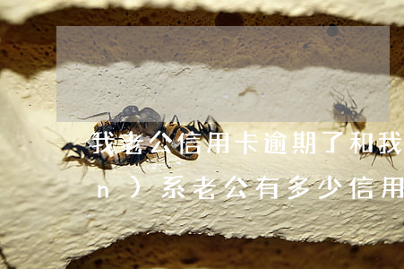 我老公信用卡逾期了和我有沒有關(guān)系（老公有多少信用卡逾期）
