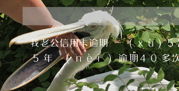 我老公信用卡逾期連續(xù)5次(信用卡5年內(nèi)逾期40多次)