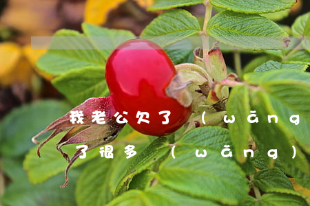我老公欠了網(wǎng)貸怎么辦(老公欠了很多網(wǎng)貸)