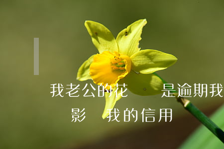 我老公的花唄總是逾期(我老公的花唄逾期了會影響我的信用嗎)