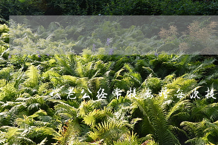我老公经常提离婚(每次提离婚老公都同意)