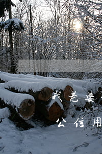我老婆信用卡逾期了,我還可以辦信用卡嗎（老公信用卡逾期老婆能辦理房貸嗎）