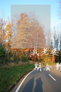 我老婆信用卡逾期会怎么样(老婆有信用卡逾期会影响我的贷款吗)