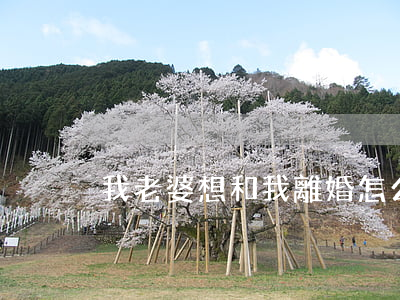 我老婆想和我離婚怎么辦