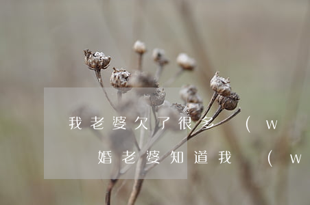 我老婆欠了很多網(wǎng)貸我要和他離婚(老婆知道我網(wǎng)貸后要離婚)