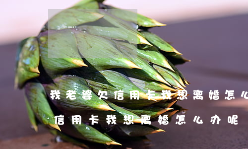 我老婆欠信用卡我想离婚怎么办-我老婆欠信用卡我想离婚怎么办呢