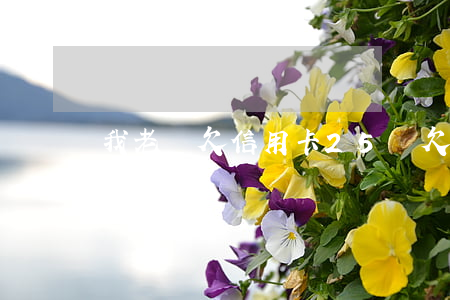 我老媽欠信用卡25萬（欠26萬信用卡）
