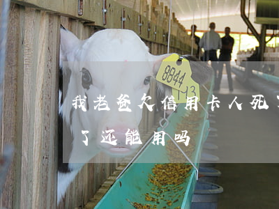 我老爸欠信用卡人死了(我老爸欠信用卡人死了还能用吗)
