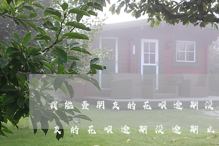 我能查朋友的花呗逾期没逾期么-我能查朋友的花呗逾期没逾期么