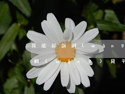 我能起訴網(wǎng)貸公司嗎(可以起訴網(wǎng)貸平臺協(xié)商還款嗎)