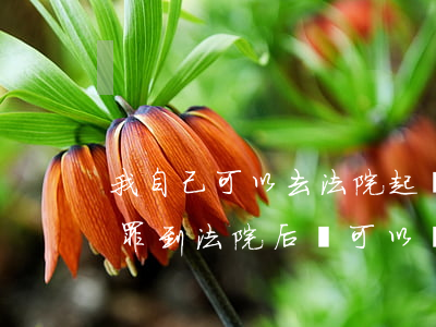 我自己可以去法院起訴故意傷害嗎(故意傷害罪到法院后還可以調(diào)解嗎?)