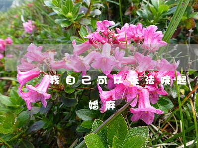 我自己可以去法院起訴離婚嗎(自己去法院起訴離婚麻煩嗎)