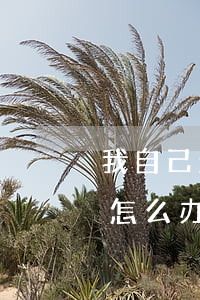 我自己欠了网贷一万五自首(欠了网贷一万五怎么办)