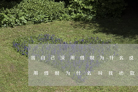 我自己没用借呗为什么说让我还款-我没有用借呗为什么叫我还款