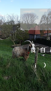 我自己逾期嚴(yán)重影響我對(duì)象信用嗎-我自己逾期嚴(yán)重影響我對(duì)象信用嗎怎么辦