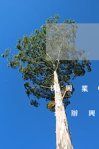 我興業(yè)銀行信用卡逾期了還不上怎么辦（興業(yè)銀行信用卡逾期了好協(xié)商）
