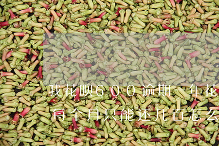 我花呗600逾期一年(花呗逾期10000每个月只能还几百怎么办)