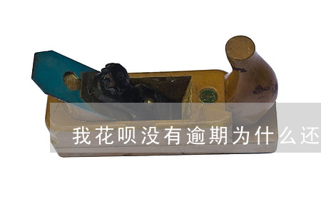 我花呗没有逾期为什么还会上征信-我花呗没有逾期为什么还会上征信呢