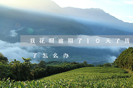 我花呗逾期了10天了(我花呗逾期了10天了怎么办)
