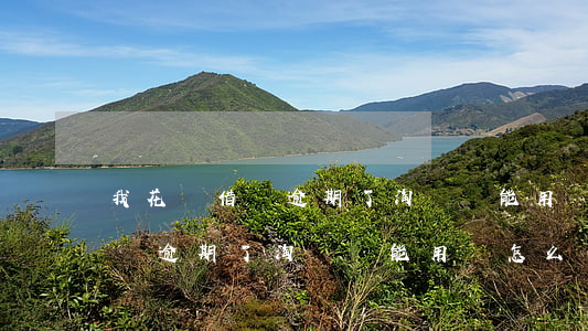 我花唄借唄逾期了淘寶還能用嗎-我花唄借唄逾期了淘寶還能用嗎怎么辦