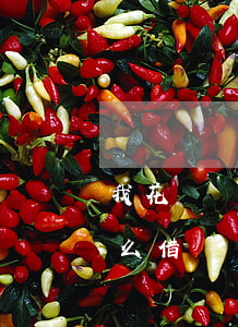 我花唄沒(méi)逾期過(guò)為什么借唄沒(méi)開-