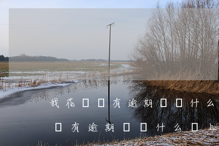 我花唄沒有逾期過為什么會上征信-我花唄沒有逾期過為什么會上征信呢