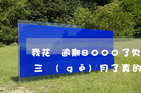 我花唄逾期8000了(欠花唄8000逾期三個(gè)月了,真的會(huì)起訴嗎?)
