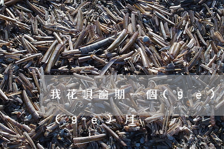 我花唄逾期一個(gè)月 我花唄逾期一個(gè)月