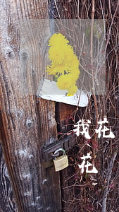我花唄逾期了他給我停用了我怎么還款-我花唄逾期了他給我停用了我怎么還款呢