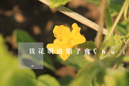 我花唄逾期了會(huì)打電話給老公嗎-