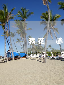 我花唄逾期，我花唄逾期1年了7千塊，會(huì)不會(huì)被起訴