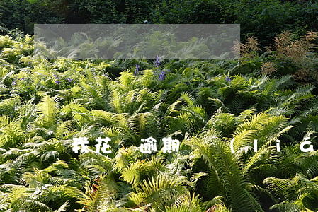 我花唄逾期會聯(lián)系支付寶好友嗎
