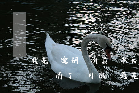 我花唄逾期還清后一年又可以開-花唄逾期過還清了還可以開通花唄收款嗎?