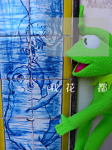 我花唄都逾期1