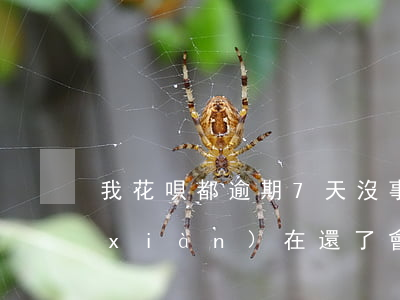 我花唄都逾期7天沒事(花唄逾期了七天,現(xiàn)在還了,會影響征信嗎)