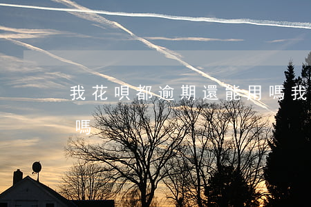 我花唄都逾期還能用嗎(我花唄都逾期還能用嗎)